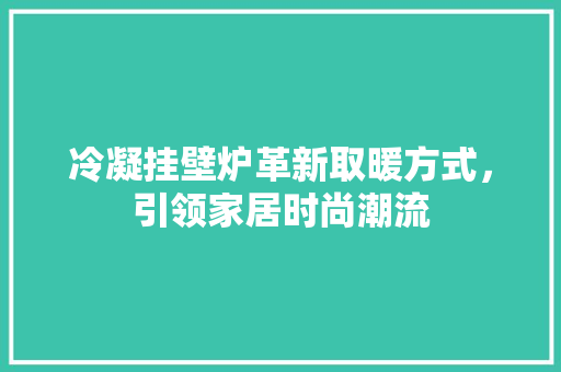 冷凝挂壁炉革新取暖方式，引领家居时尚潮流 厨房维修