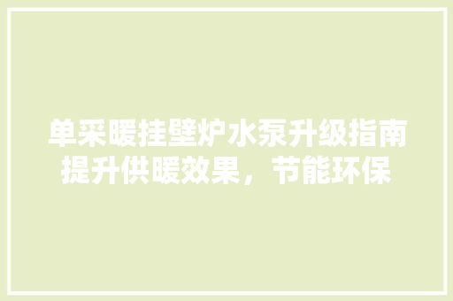 单采暖挂壁炉水泵升级指南提升供暖效果，节能环保 厨房维修