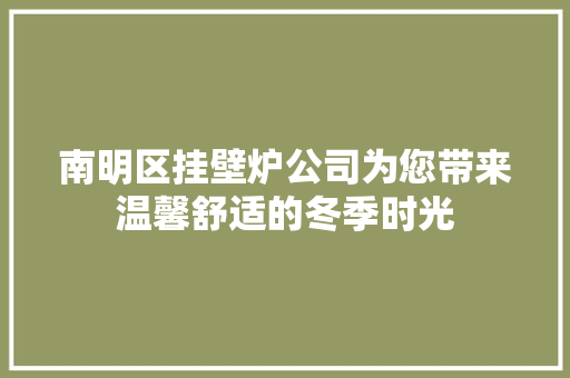 南明区挂壁炉公司为您带来温馨舒适的冬季时光 综合便民