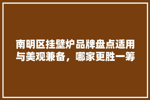 南明区挂壁炉品牌盘点适用与美观兼备，哪家更胜一筹 家电维修