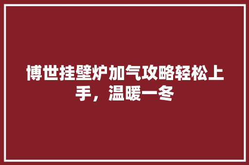 博世挂壁炉加气攻略轻松上手，温暖一冬 综合便民