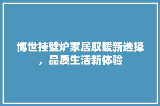 博世挂壁炉家居取暖新选择，品质生活新体验 厨房维修