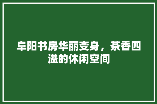 阜阳书房华丽变身，茶香四溢的休闲空间