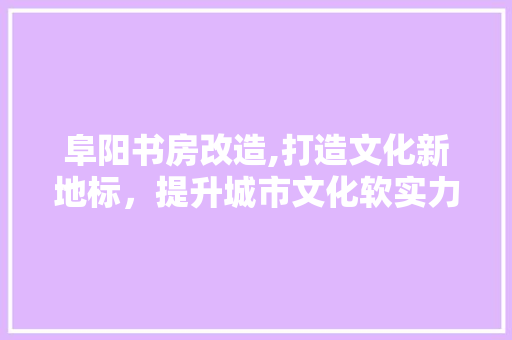 阜阳书房改造,打造文化新地标，提升城市文化软实力