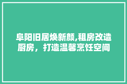 阜阳旧居焕新颜,租房改造厨房，打造温馨烹饪空间