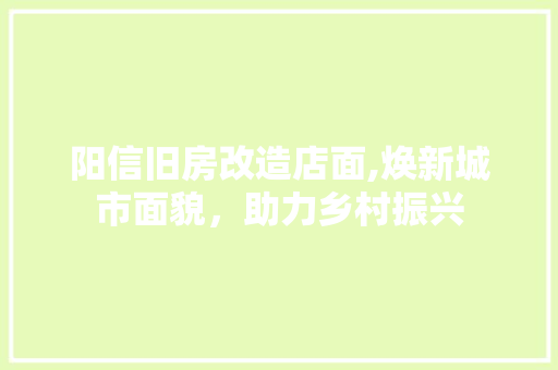 阳信旧房改造店面,焕新城市面貌，助力乡村振兴