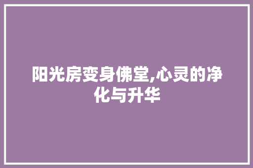 阳光房变身佛堂,心灵的净化与升华 综合便民