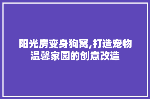 阳光房变身狗窝,打造宠物温馨家园的创意改造