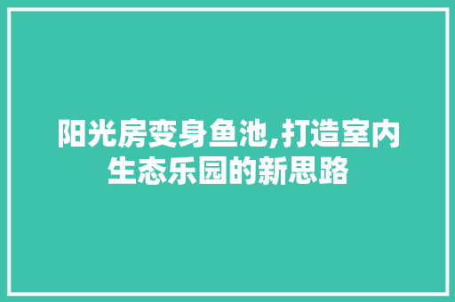 阳光房变身鱼池,打造室内生态乐园的新思路