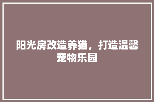 阳光房改造养猫，打造温馨宠物乐园