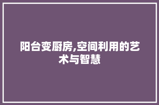 阳台变厨房,空间利用的艺术与智慧