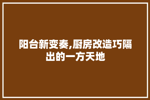 阳台新变奏,厨房改造巧隔出的一方天地