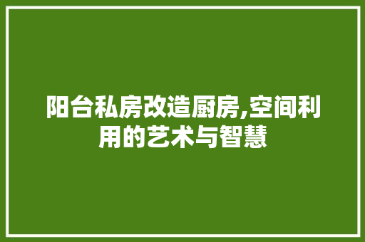 阳台私房改造厨房,空间利用的艺术与智慧