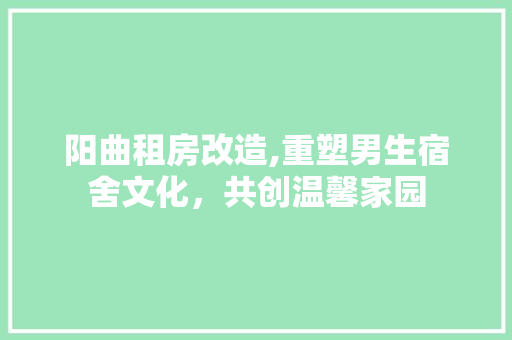 阳曲租房改造,重塑男生宿舍文化，共创温馨家园