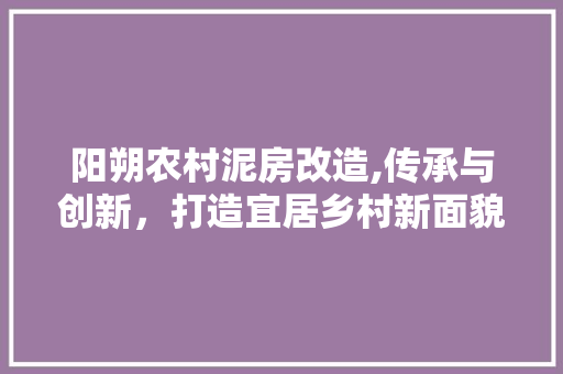 阳朔农村泥房改造,传承与创新，打造宜居乡村新面貌 厨房维修