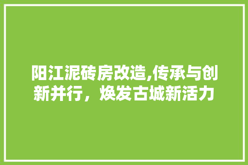 阳江泥砖房改造,传承与创新并行，焕发古城新活力