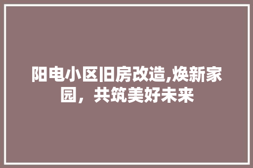 阳电小区旧房改造,焕新家园，共筑美好未来