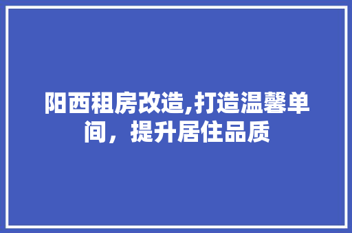 阳西租房改造,打造温馨单间，提升居住品质
