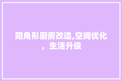 阳角形厨房改造,空间优化，生活升级