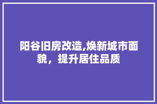阳谷旧房改造,焕新城市面貌，提升居住品质