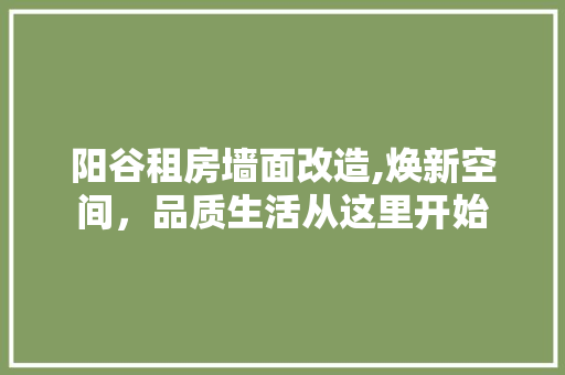 阳谷租房墙面改造,焕新空间，品质生活从这里开始