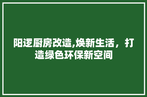 阳逻厨房改造,焕新生活，打造绿色环保新空间 汽车维修