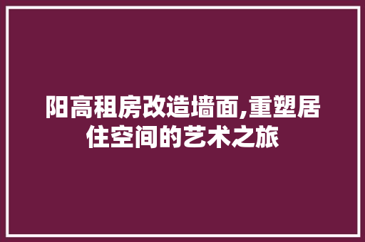 阳高租房改造墙面,重塑居住空间的艺术之旅