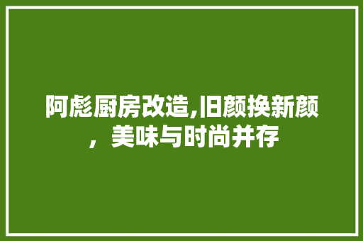 阿彪厨房改造,旧颜换新颜，美味与时尚并存