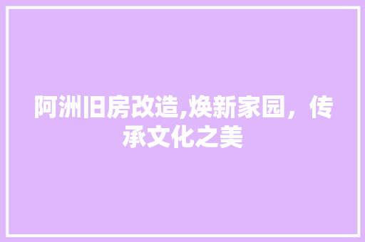 阿洲旧房改造,焕新家园，传承文化之美