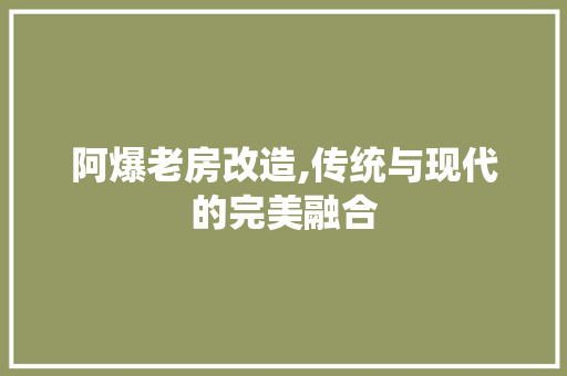 阿爆老房改造,传统与现代的完美融合