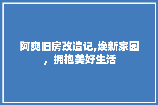 阿爽旧房改造记,焕新家园，拥抱美好生活