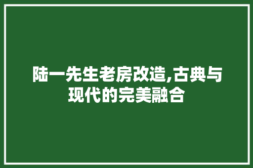 陆一先生老房改造,古典与现代的完美融合