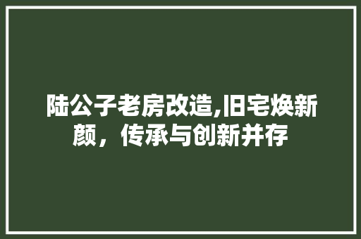 陆公子老房改造,旧宅焕新颜，传承与创新并存