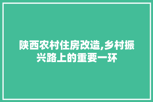 陕西农村住房改造,乡村振兴路上的重要一环 墙体维修