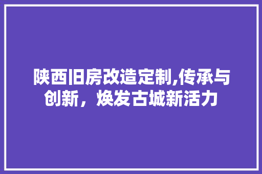 陕西旧房改造定制,传承与创新，焕发古城新活力