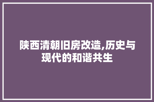 陕西清朝旧房改造,历史与现代的和谐共生