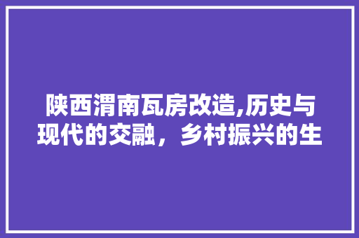 陕西渭南瓦房改造,历史与现代的交融，乡村振兴的生动方法