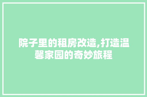 院子里的租房改造,打造温馨家园的奇妙旅程