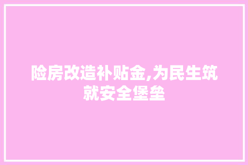 险房改造补贴金,为民生筑就安全堡垒