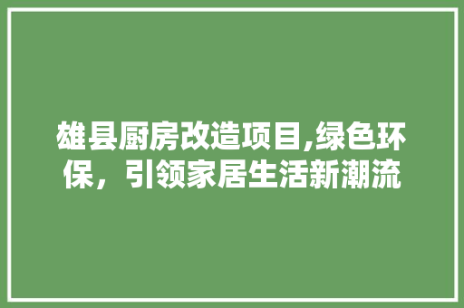 雄县厨房改造项目,绿色环保，引领家居生活新潮流 厨房维修