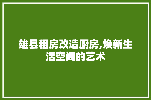 雄县租房改造厨房,焕新生活空间的艺术