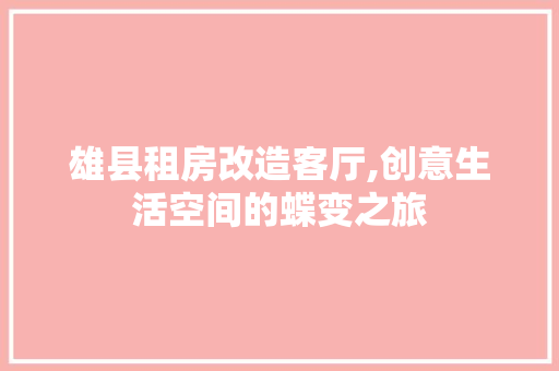 雄县租房改造客厅,创意生活空间的蝶变之旅