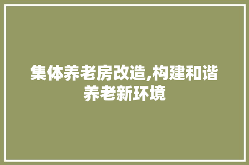 集体养老房改造,构建和谐养老新环境 汽车维修