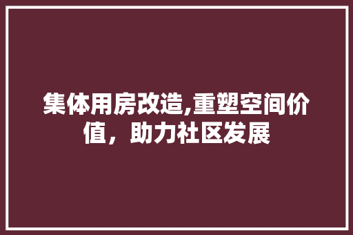 集体用房改造,重塑空间价值，助力社区发展 墙体维修