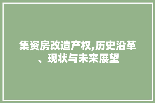 集资房改造产权,历史沿革、现状与未来展望