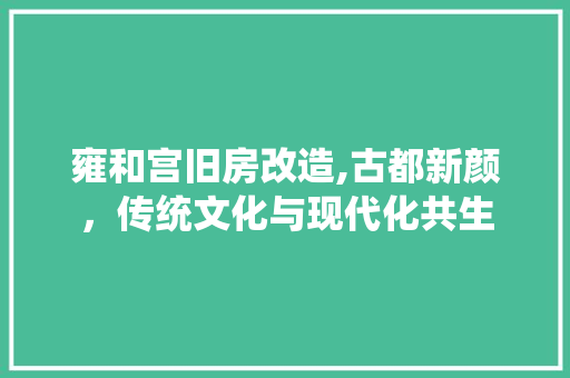 雍和宫旧房改造,古都新颜，传统文化与现代化共生