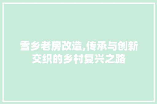 雪乡老房改造,传承与创新交织的乡村复兴之路