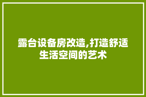 露台设备房改造,打造舒适生活空间的艺术 综合便民