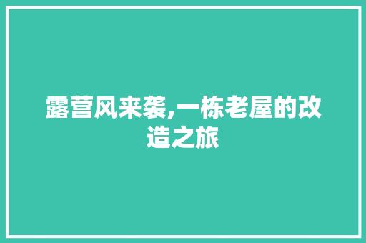 露营风来袭,一栋老屋的改造之旅 家电维修