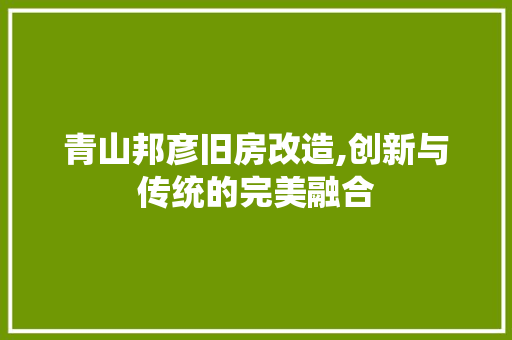 青山邦彦旧房改造,创新与传统的完美融合 厨房维修